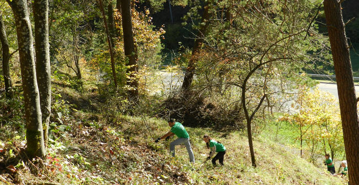 Pflegeeinsatz im Schutzgebiet Chrummhaalde, 2017 © Pro Natura Schaffhausen