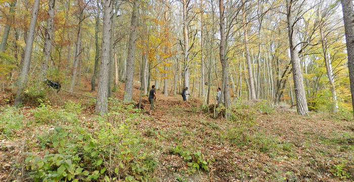 Aufräumarbeitem im Schutzgebiet Laadel, 2018 © Pro Natura Schaffhausen