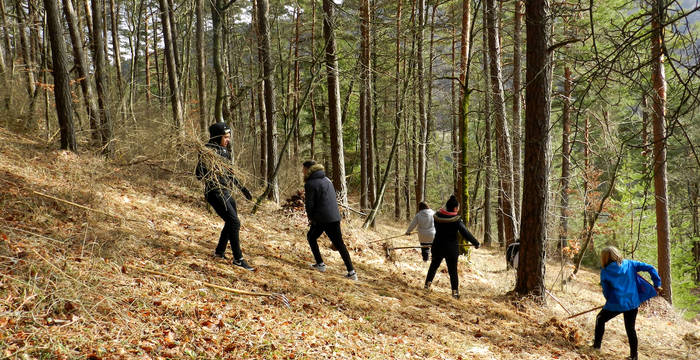 SchülerInnen bei einem Pflegeeinsatz im Schutzgebiet Laadel, 2018 © Pro Natura Schaffhausen
