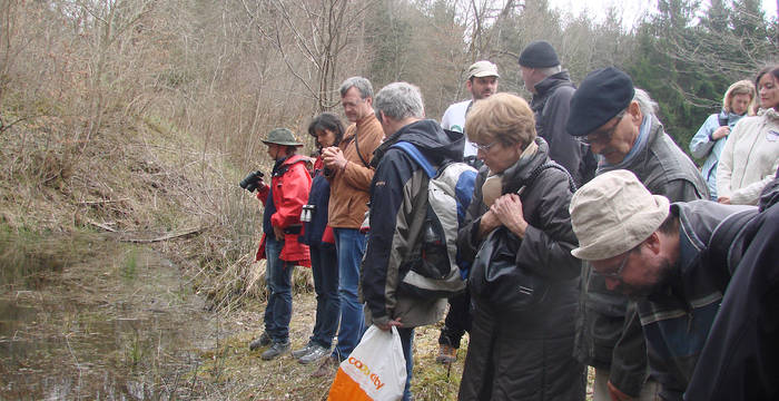 Naturerlebnisse am Rhein: Exkursionsteilnehmer auf eine privaten Führung