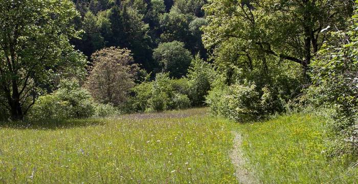 Naturschutzgebiet Laadel