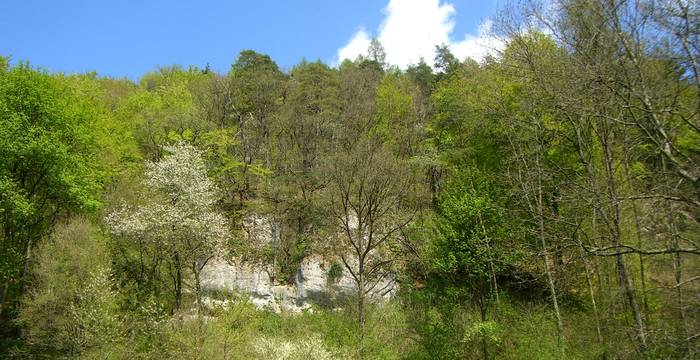 Naturschutzgebiet ​Tüüfels-Chuchi © Pro Natura Schaffhausen