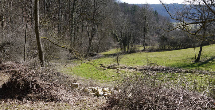 Ast- und Steinhaufen © Peter Braig
