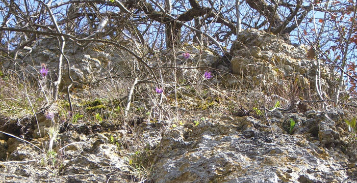 Felswand in der Tüüfels-Chuchi