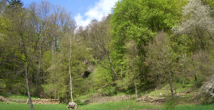Frühling in der Tüüfels-Chuchi © Peter Braig