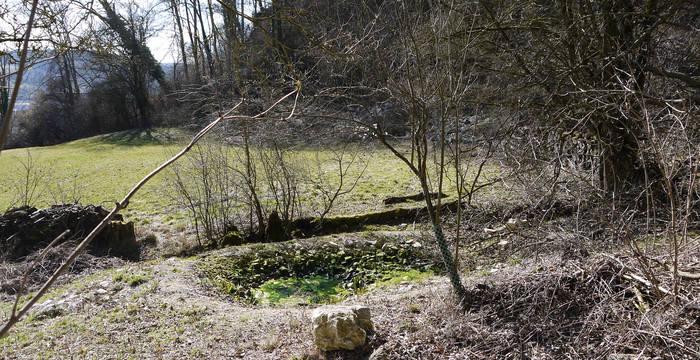 Kleinstrukturen im Schutzgebiet