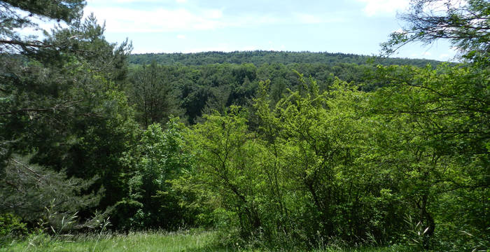 Oberbärghaalde im Frühling