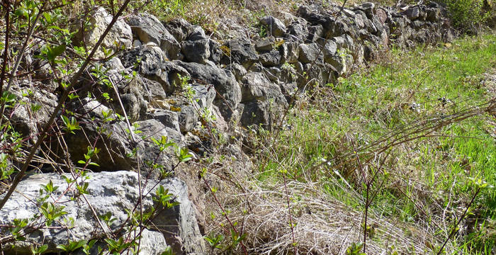 Trockenmauer im Laadel