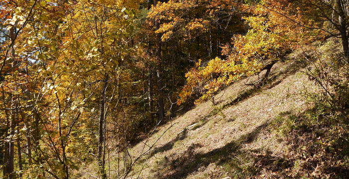 Vielfältige Lebensräume © Pro Natura Schaffhausen