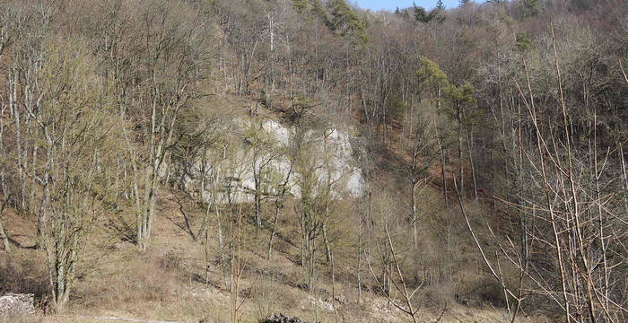 Felswand Tüüfels-Chuch © Pro Natura Schaffhausen