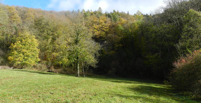 Wiese Tüüfels-Chuchi © Pro Natura Schaffhausen