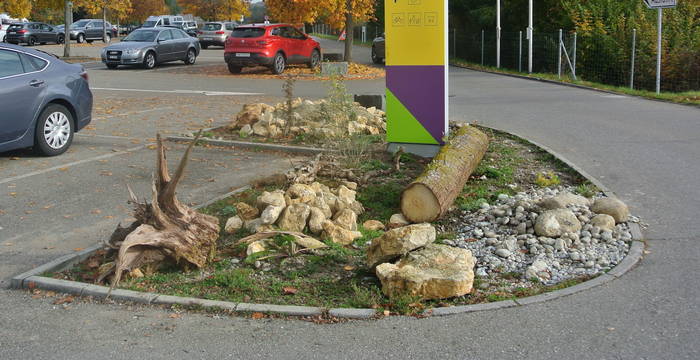 Wildbienenförderung auf dem Parkplatz © Monika Wirz