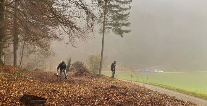 Aufräumaktion im Schlösslibuck nach erfolgter Entbuschung, 2021 © Pro Natura Schaffhausen