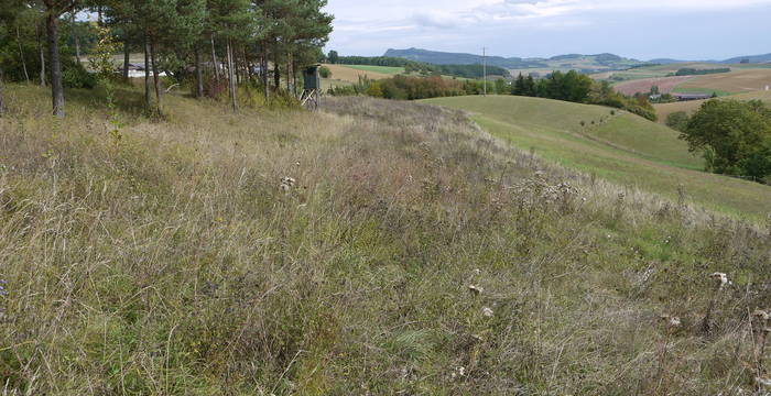 Das Schutzgebiet Albärg mit Blick auf den Hohenstoffel