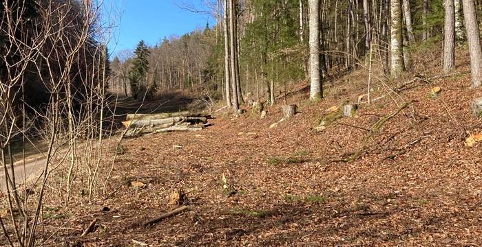Nach dem ersten Pflegeeingriff im Herbst 2021 © Pro Natura Schaffhausen