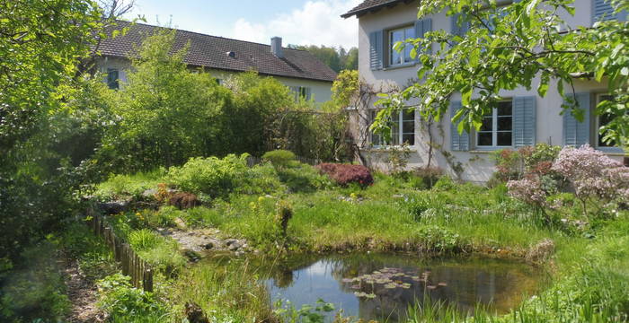 Naturgarten_Tümpel_1920x960_ProNatura