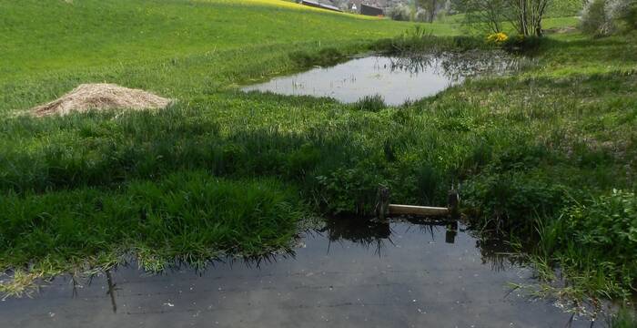 Hegi Weiher