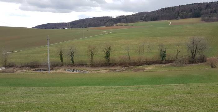 Schutzgebiet Hegi vor Heckenpflege