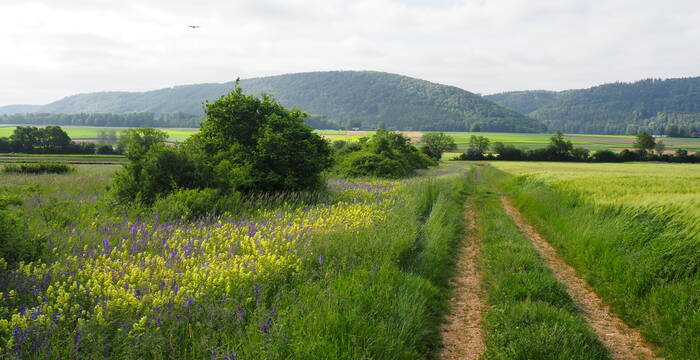 Klettgau-Widen