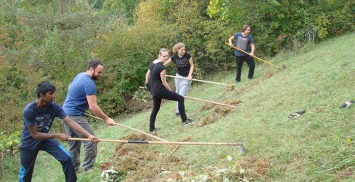 Heuen im Schutzgebiet Laadel, 2016 © Pro Natura Schaffhausen