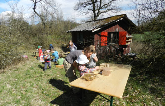 Nachmittag zum Thema Wildbienen