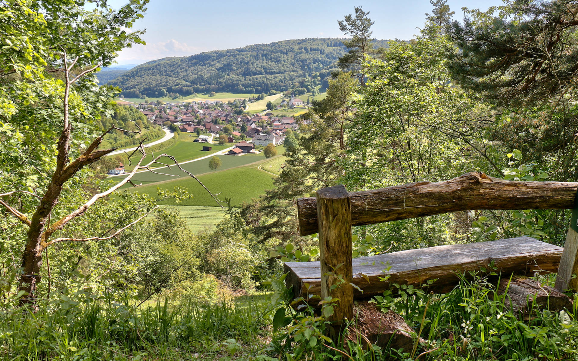 Laadel_head_cr_Rolf_Isler