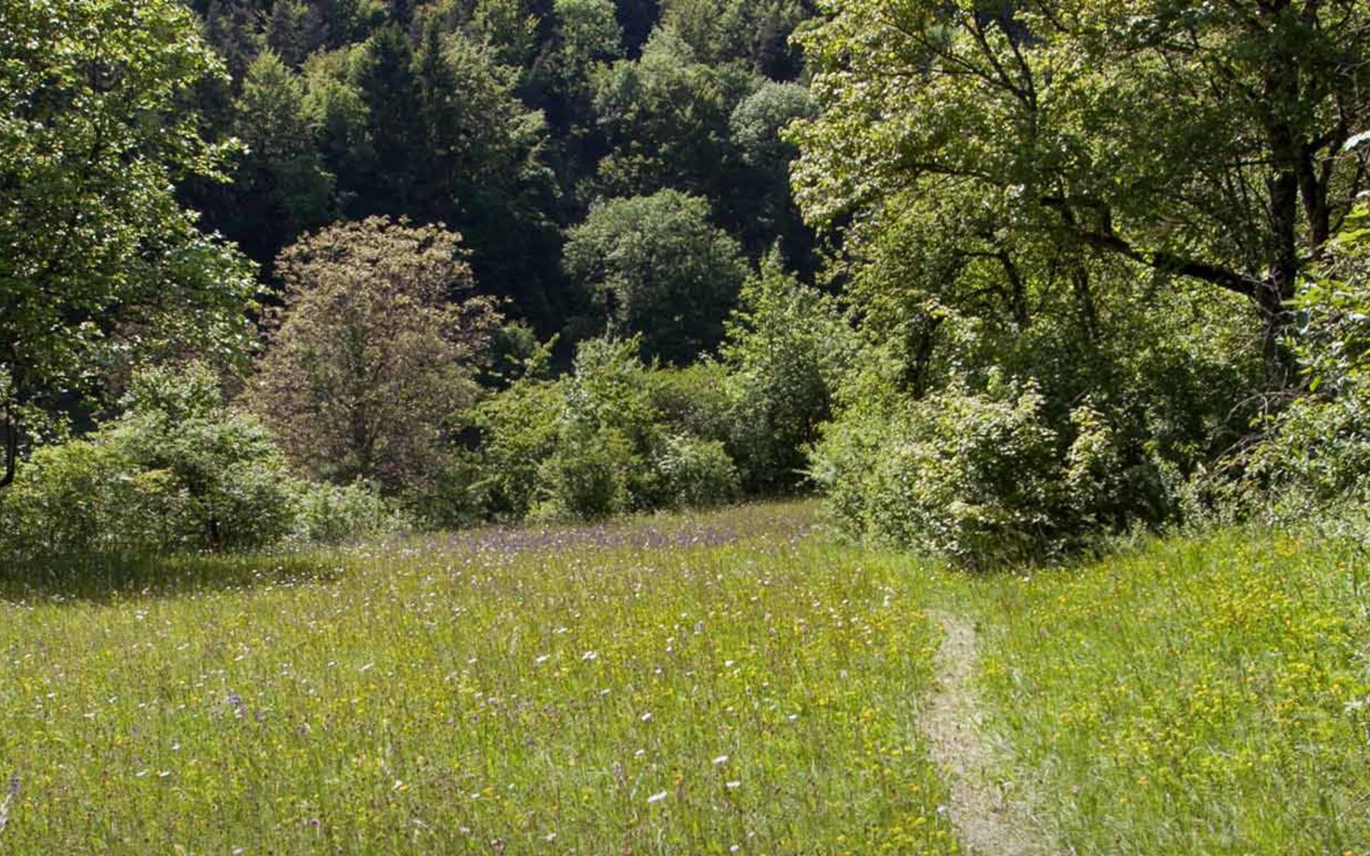 Naturschutzgebiet Laadel © Florin Rutschmann