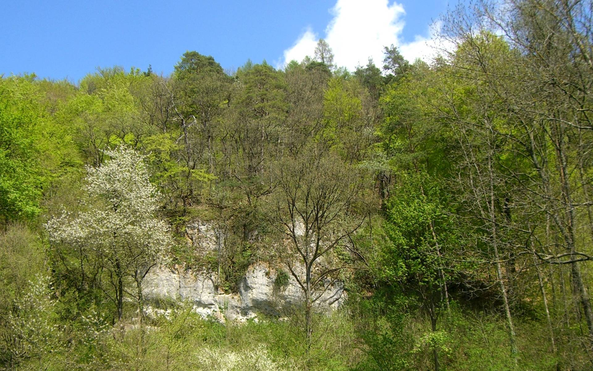 Naturschutzgebiet ​Tüüfels-Chuchi © Pro Natura Schaffhausen