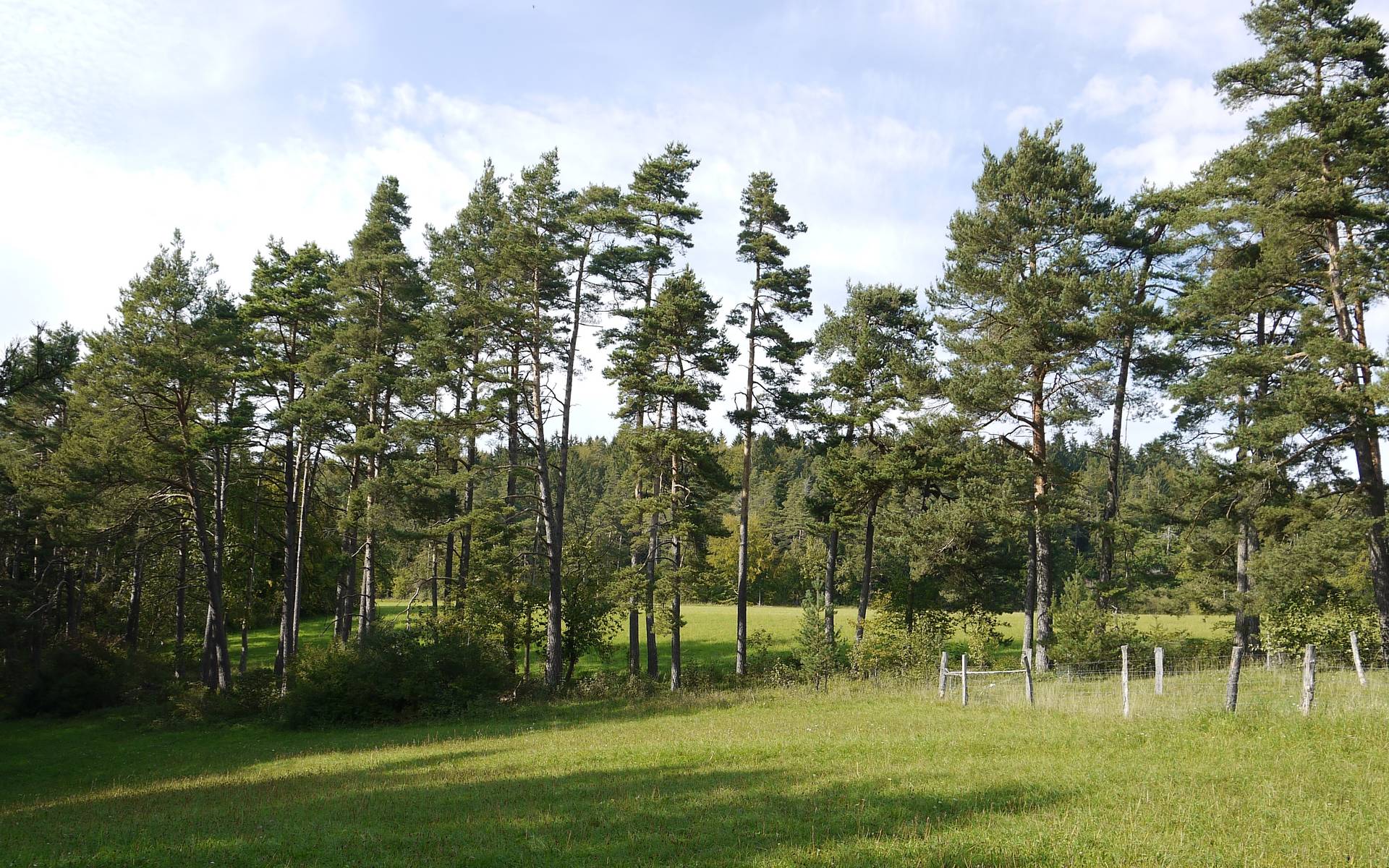 Schutzgebiet Blaase © Peter Braig