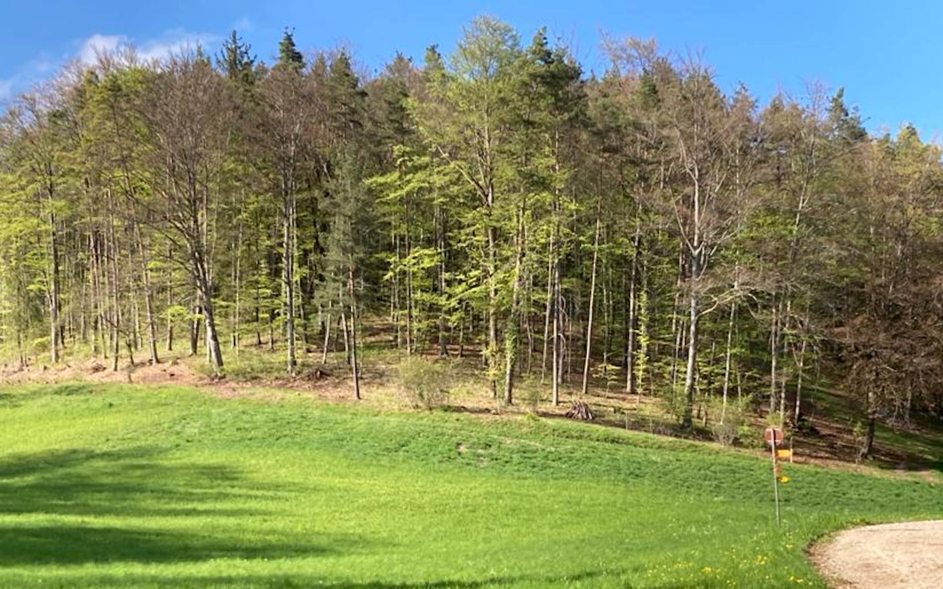 Schlösslibuck © Pro Natura SH