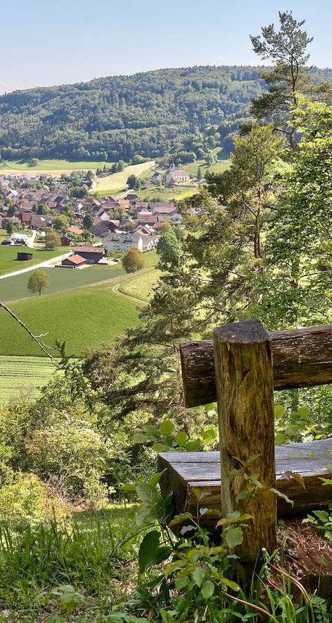 Laadel_head_cr_Rolf_Isler