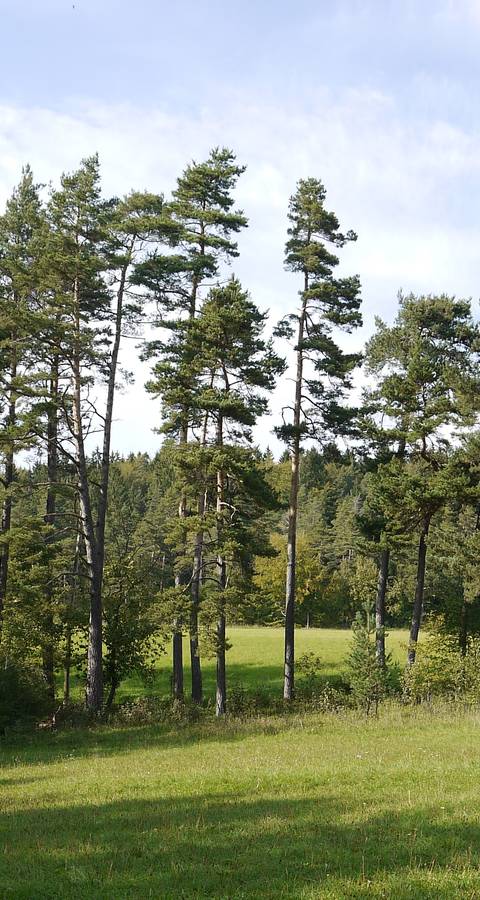 Schutzgebiet Blaase