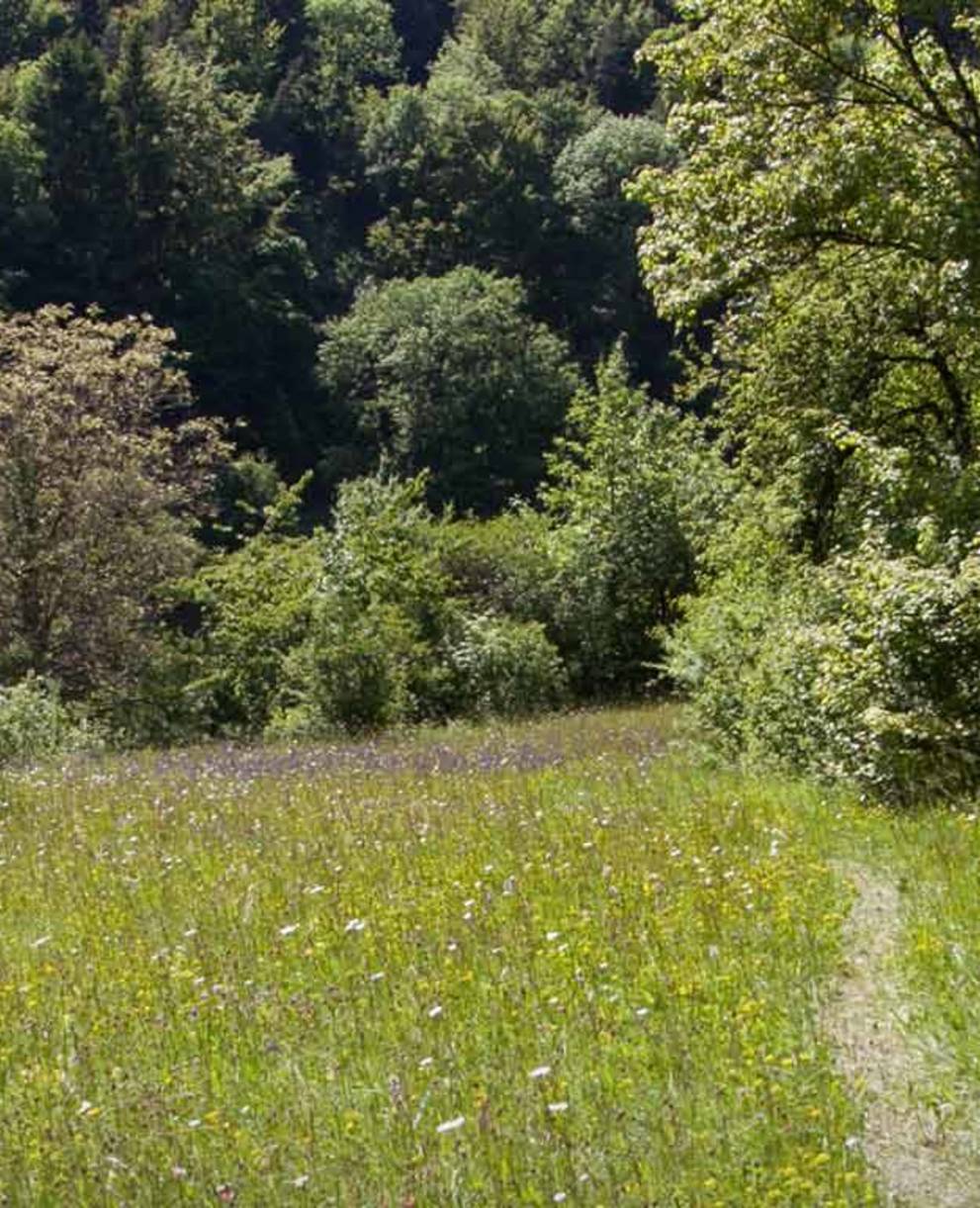 Naturschutzgebiet Laadel