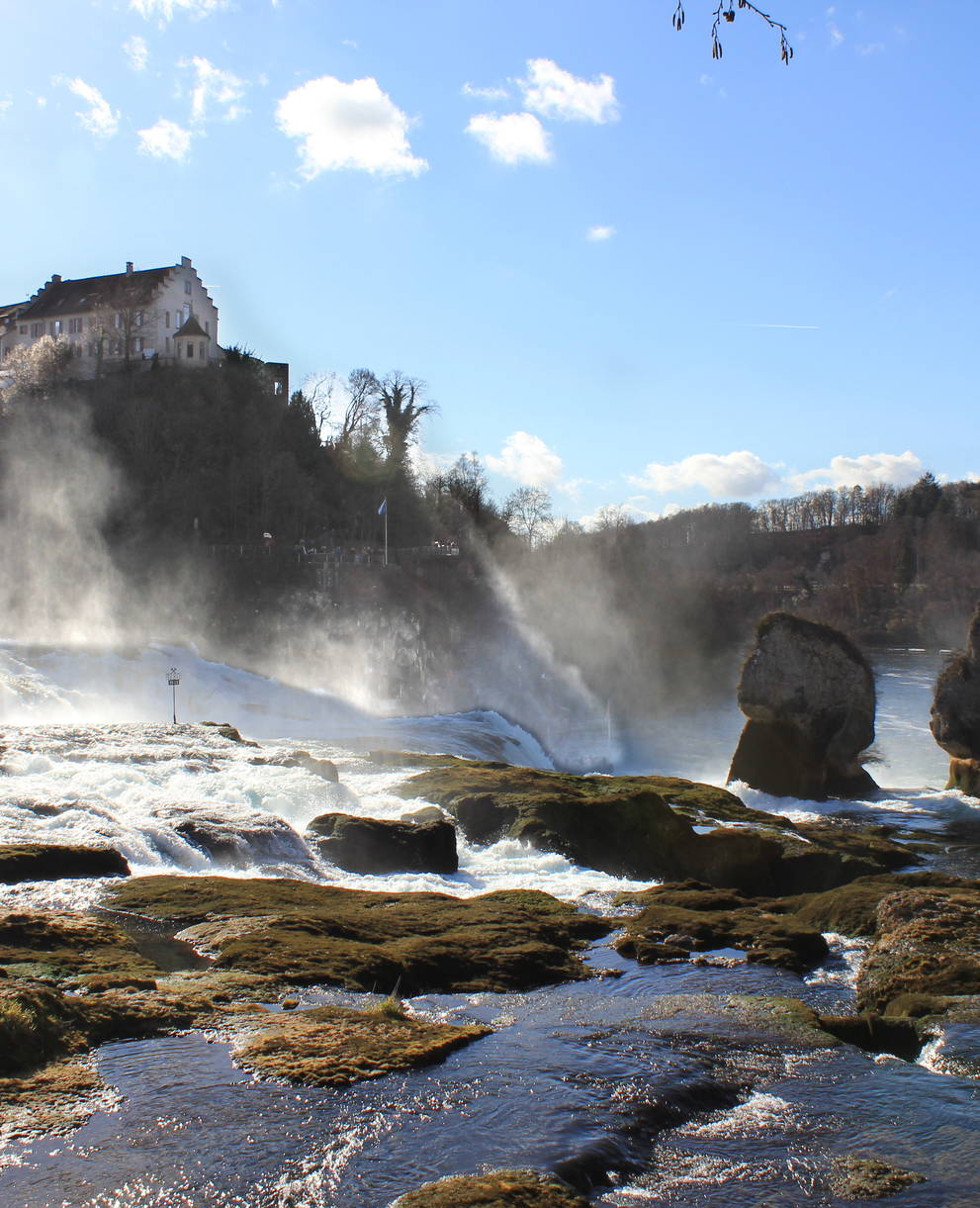 Rheinfall bei Niedrigwasser