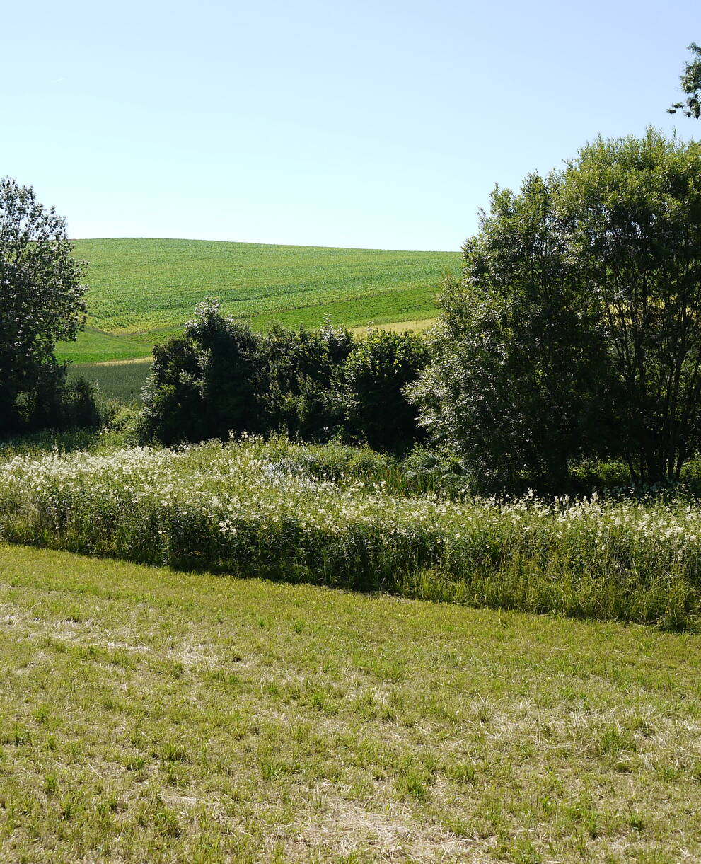 Schutzgebiet Hegi