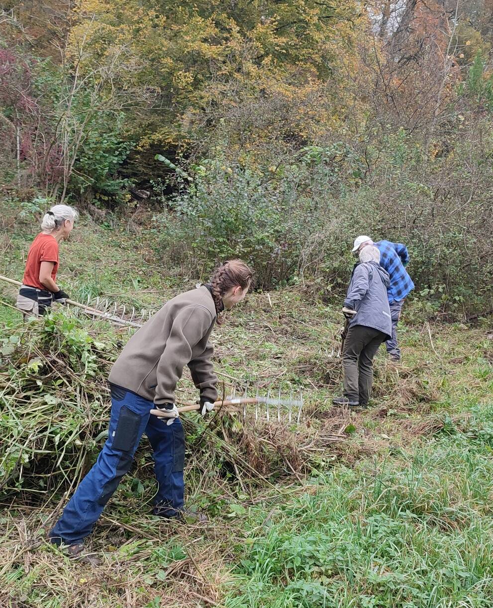 Pflegeeinsatz im Schutzgebiet Mos-Buck