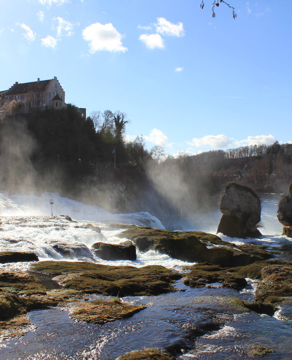 Rheinfall